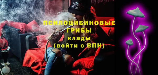 мдпв Волосово