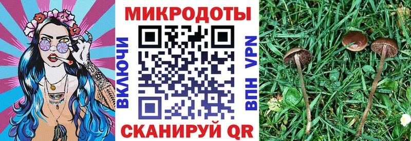 Галлюциногенные грибы Psilocybine cubensis  гидра ссылка  Каменск-Шахтинский  купить  